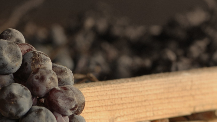 Amarone Nicolis 2008